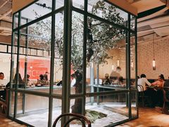大堂-大树餐厅(大悦城店)