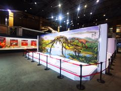 -国家自然博物馆