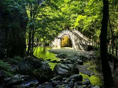 -牛背梁国家森林公园