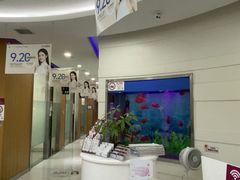 -雅悦齿科(顾村公园店)