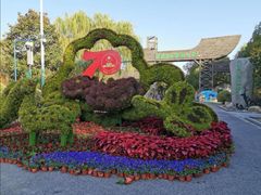 -溱湖国家湿地公园