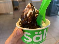 -Salud撒露欧洲冻酸奶(蓝色港湾店)