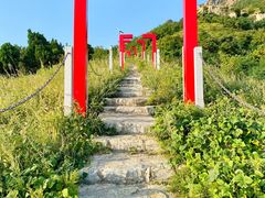 -灵山岛风景区