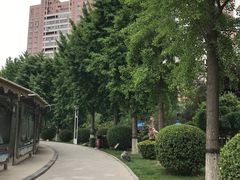 -西清公园