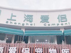 -爱侣宠医·鹦鹉专科·小型哺乳类·异宠专科(灵石路店)