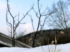 -北京山里寒舍度假酒店