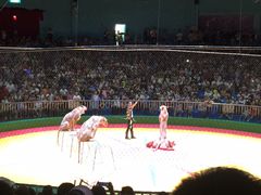 -西安秦岭野生动物园