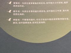 -中国湿地博物馆