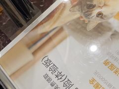 -瑞鹏·疫苗·绝育·宠物医院(金沙洲店)