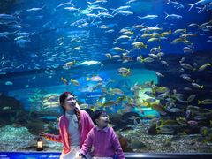 -海合安武汉极地海洋公园
