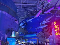 -烟台海昌鲸鲨海洋公园
