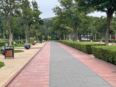 -廊坊文化艺术中心