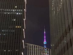 -上海新锦江大酒店