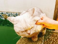 -她说户外烧烤团建(西湖店)