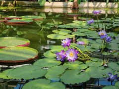 -国家植物园南园