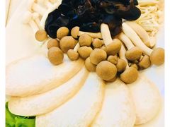菌类拼盘-东来顺饭庄(天坛店)