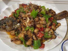 -煲来饱去冷水鱼