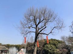 -无锡梅园公园