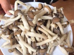-东巴谷野生菌火锅餐厅