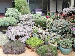 -山菌美食苑(振兴路店)