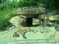 -北京野生动物园