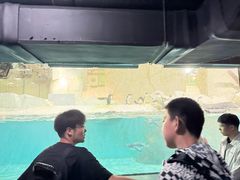 -大连圣亚海洋世界