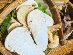 -滇野云南野生菌餐厅(陕西南路店)