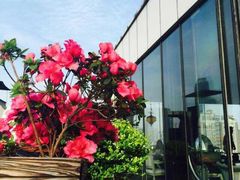 -红房子西菜馆(淮海中路店)