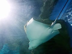 -福州罗源湾海洋世界旅游区