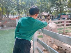 点击看大图 -268童话露营营地·烧烤·团建