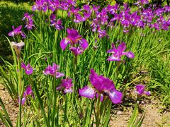 -国家植物园南园