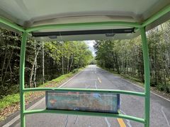 -五营红松林海景区