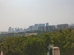 -深圳龙潭公园