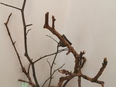 -美味之家·湖景农家乐(太湖东山店)