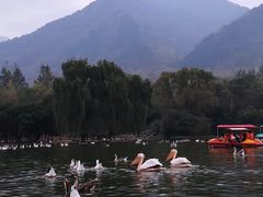 -西安秦岭野生动物园