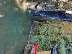 -溪口-滕头旅游景区