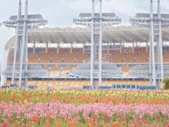 -海心沙亚运公园