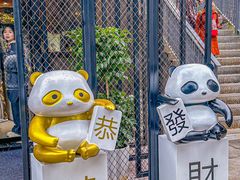 -嫩芽 ·地道重庆菜(十八梯露台夜景店)