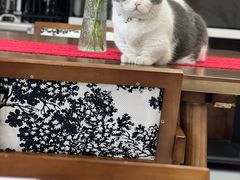 -seeu coffee(江滩店)