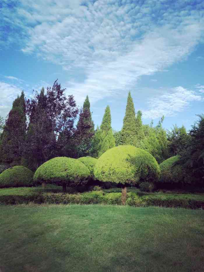 日照植物園-