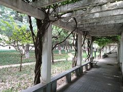 -西安外国语大学(雁塔校区)