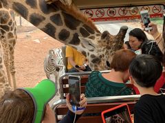 -清迈夜间动物园