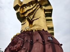 -大金鹰园