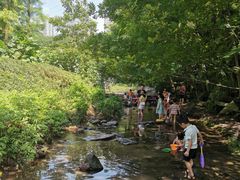 -重庆彩云湖湿地公园