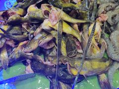 -星海汇海鲜自助烤肉火锅(百大店)