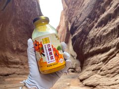 -天山神秘大峡谷