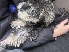 -派特宠物医院(圆融广场店)