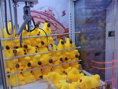 -可爱抓 COCO  GOTCHA(天津鹏欣水游城店)