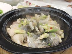 -华南师范大学石牌校区陶园