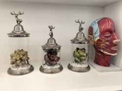 点击看大图 -熙朵美学植发·连锁品牌